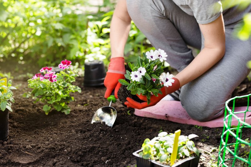 person gardening and planting flowers